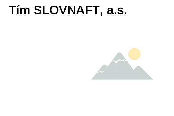 Tím SLOVNAFT, a.s.